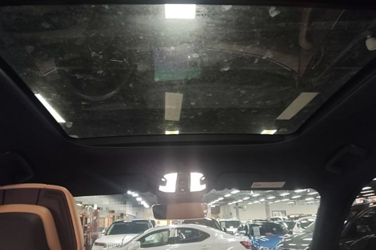 Used Lynk & Co 09 EM-P 2023 2.0TD EM-P Long-Range Version PM Six-Seater Headliner