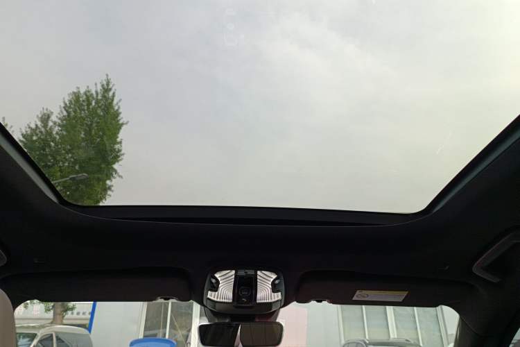 Used Lynk & Co 09 EM-P 2023 2.0TD EM-P Long-Range Version PM 7-Seater Headliner