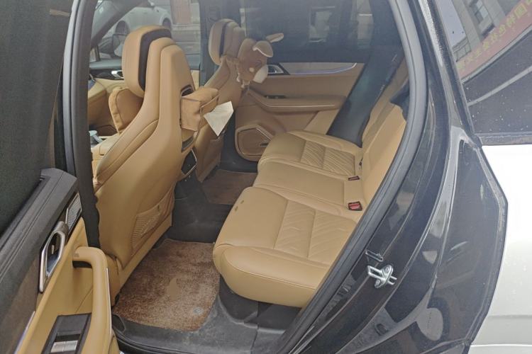 Used Lynk & Co 09 EM-P 2023 2.0TD EM-P Four-Wheel Drive Asian Games Executive Edition Five Seats Left Rear Seat