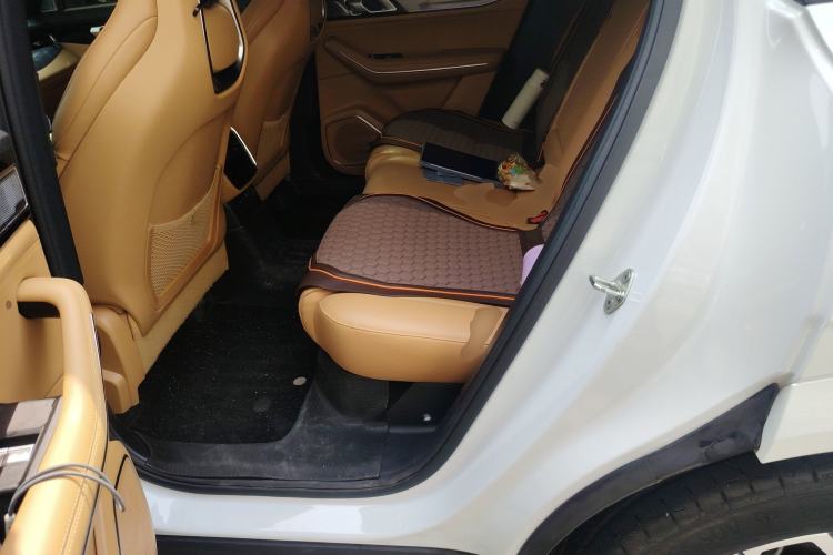 Used Lynk & Co 09 EM-P 2023 2.0TD EM-P Four-Wheel Drive Asian Games Executive Edition Five Seats Left Rear Seat