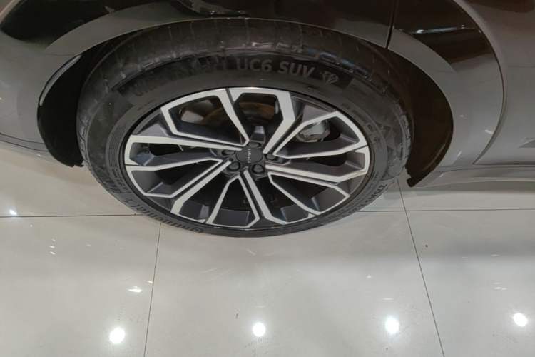 Used Lynk & Co 09 EM-P 2024 2.0TD EM-P Four-Wheel Drive ULTRA Six-Seater Exterior 5