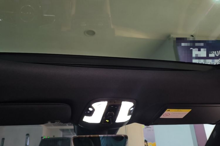 Used Lynk & Co 09 EM-P 2024 2.0TD EM-P Four-Wheel Drive ULTRA Six-Seater Headliner