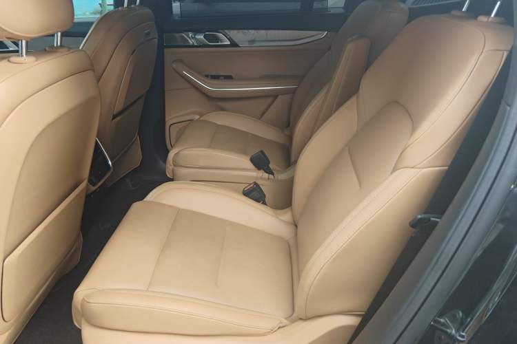 Used Lynk & Co 09 EM-P 2024 2.0TD EM-P Four-Wheel Drive ULTRA Six-Seater Left Rear Seat