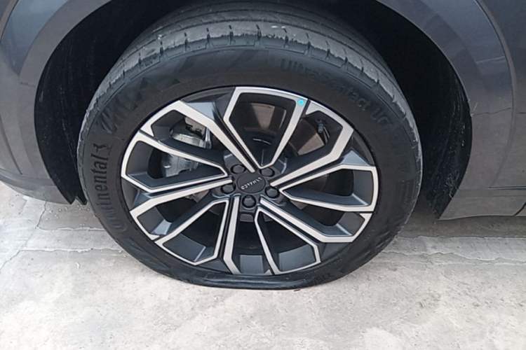 Used Lynk & Co 09 EM-P 2024 2.0TD EM-P Four-Wheel Drive HALO Six-Seater Exterior 4