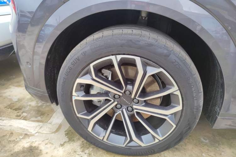 Used Lynk & Co 09 EM-P 2024 2.0TD EM-P Four-Wheel Drive HALO Six-Seater Exterior 4