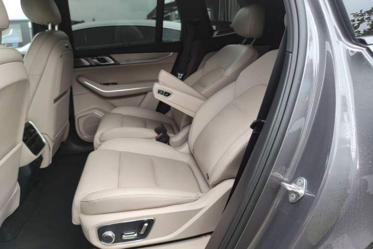 Used Lynk & Co 09 EM-P 2024 2.0TD EM-P Four-Wheel Drive HALO Six-Seater Left Rear Seat