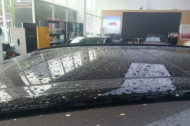 Used Lynk & Co 09 EM-P 2024 2.0TD EM-P Four-Wheel Drive ULTRA Six-Seater Roof