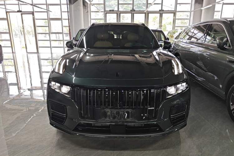 Used Lynk & Co 09 EM-P 2024 2.0TD EM-P Four-Wheel Drive ULTRA Six-Seater Front