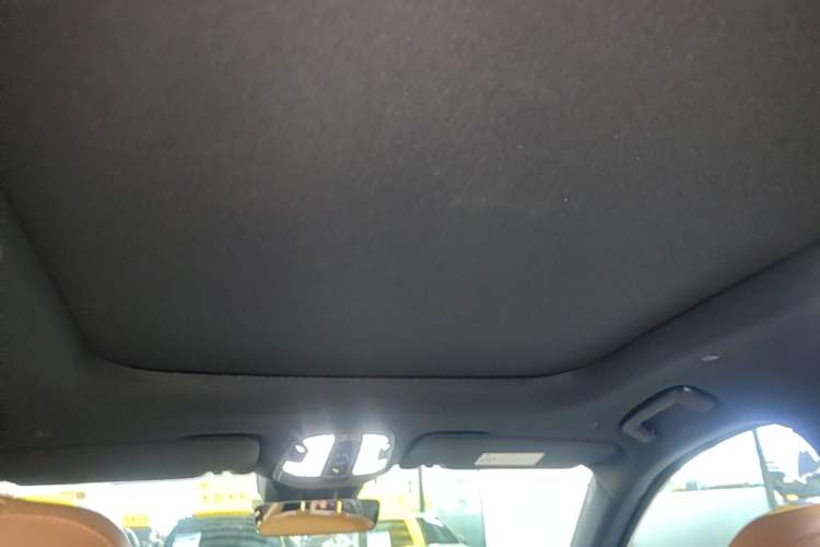Used Lynk & Co 09 EM-P 2024 2.0TD EM-P Four-Wheel Drive ULTRA Six-Seater Headliner