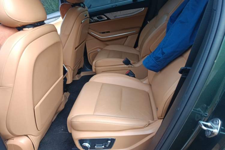 Used Lynk & Co 09 EM-P 2024 2.0TD EM-P Four-Wheel Drive ULTRA Six-Seater Left Rear Seat