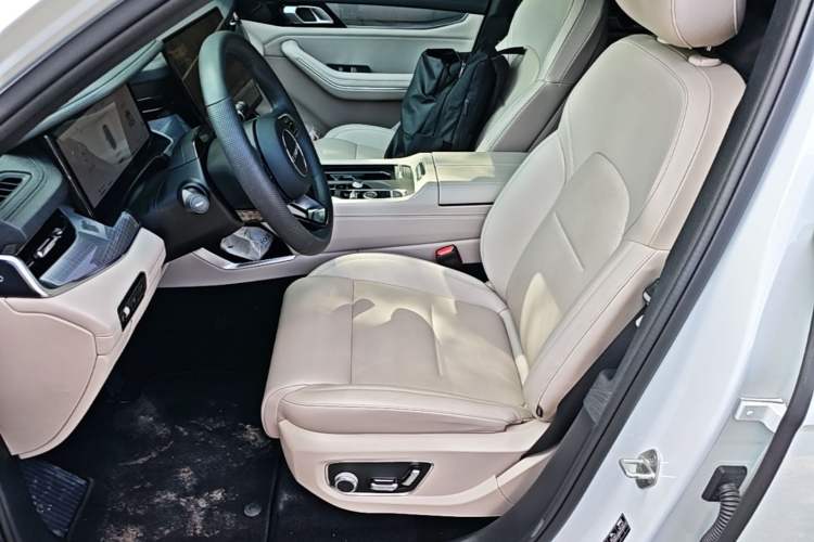 Used Lynk & Co 09 EM-P 2024 2.0TD EM-P Four-Wheel Drive ULTRA Six-Seater Left Front Seat