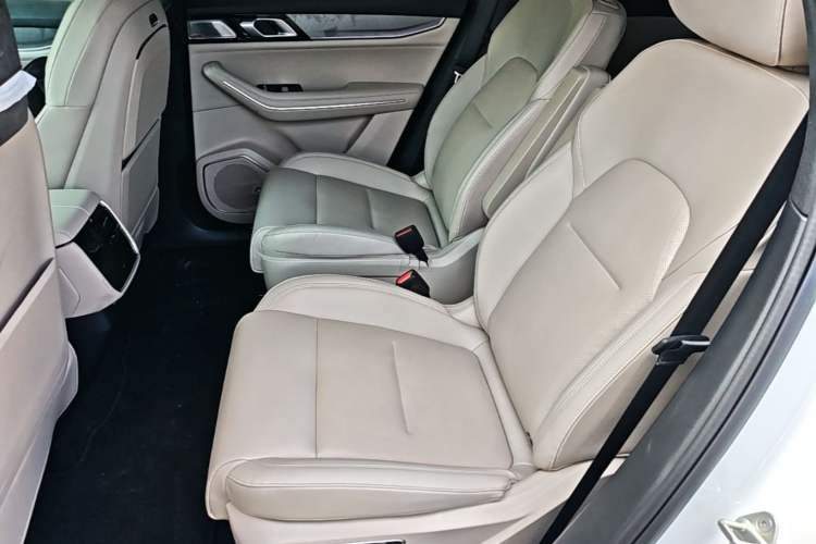 Used Lynk & Co 09 EM-P 2024 2.0TD EM-P Four-Wheel Drive ULTRA Six-Seater Left Rear Seat