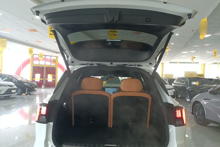 Used Lynk & Co 09 EM-P 2024 2.0TD EM-P Four-Wheel Drive ULTRA Six-Seater Trunk