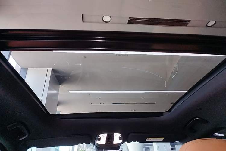 Used Lynk & Co 09 EM-P 2025 2.0TD EM-P Four-Wheel Drive Max Five Seats Headliner