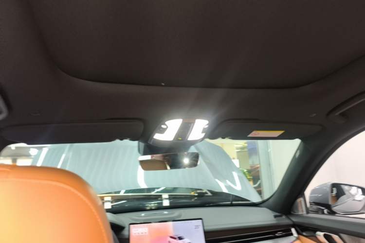 Used Lynk & Co 09 EM-P 2025 2.0TD EM-P Four-Wheel Drive Max Five Seats Headliner