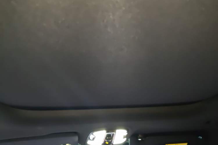 Used Lynk & Co 09 EM-P 2025 2.0TD EM-P Four-Wheel Drive Max Five Seats Headliner