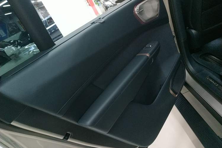 Used Lynk & Co 900 2025 1.5T Ultra Left Rear Door Interior