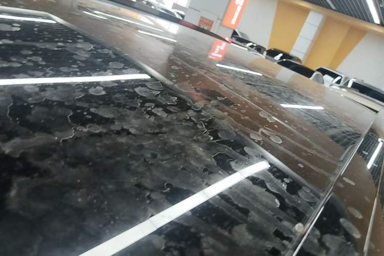 Used Lynk & Co 900 2025 1.5T Ultra Roof