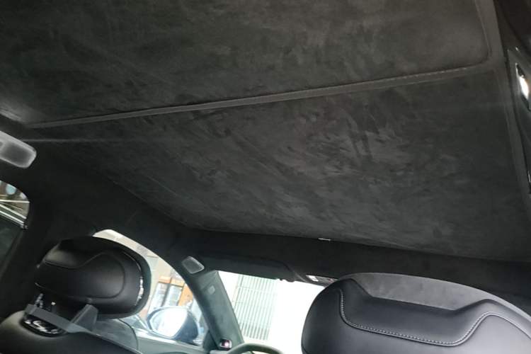 Used Lynk & Co 10 EM-P 2025 Model 240 All-Wheel Drive Ultra—Sport Edition Headliner