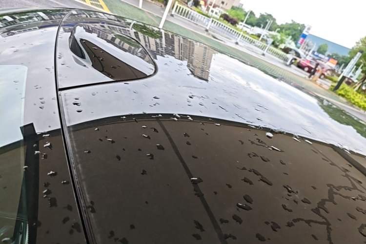 Used Lynk & Co 10 EM-P 2025 Model 240 All-Wheel Drive Ultra—Sport Edition Roof