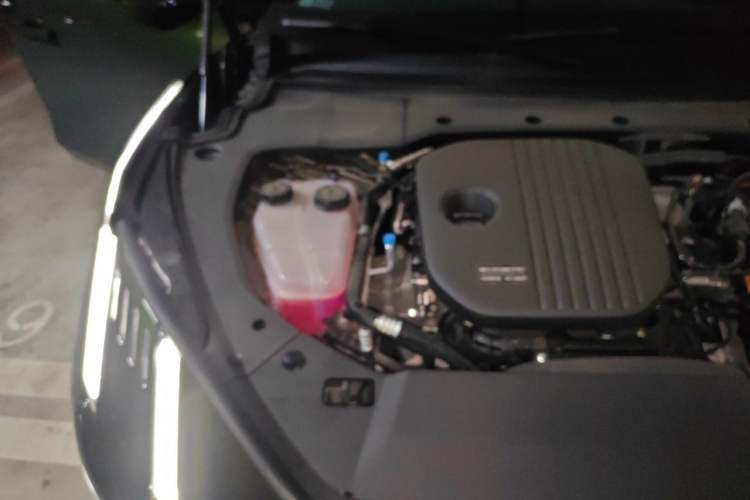 Used Lynk & Co 10 EM-P 2025 Facelifted Model 240 All-Wheel Drive Ultra—Sport Edition Engine Bay Right
