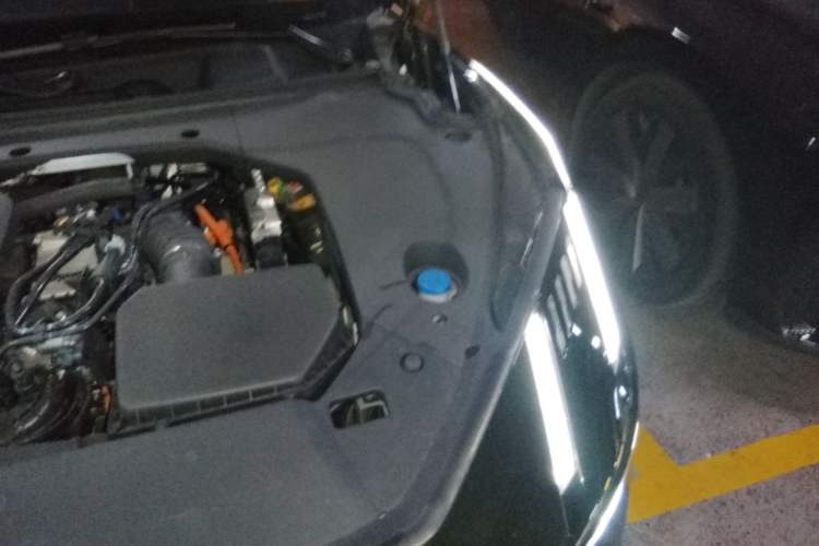 Used Lynk & Co 10 EM-P 2025 Facelifted Model 240 All-Wheel Drive Ultra—Sport Edition Engine Bay Left