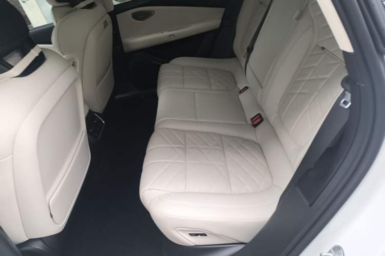 Used Lynk & Co 10 EM-P 2025 Model 240 Four-Wheel Drive Ultra Left Rear Seat