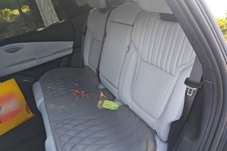 Used Lynk & Co Z10 2025 95 kWh 806 km Range Rear-Wheel Drive Advanced Driver-Assistance System Max Left Rear Seat