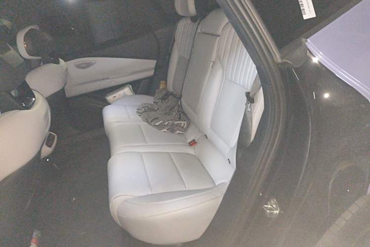 Used Lynk & Co Z10 2025 95 kWh 766 km Range Rear-Wheel Drive Max Left Rear Seat