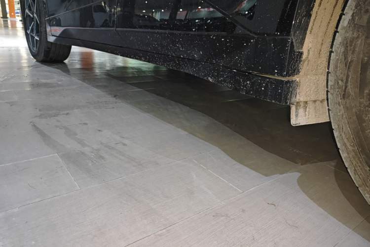 Used Lynk & Co Z20 2025 530 km Range Rear-Wheel Drive Max Left Side Sill
