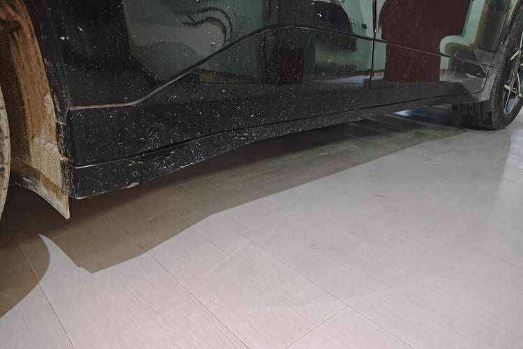 Used Lynk & Co Z20 2025 530 km Range Rear-Wheel Drive Max Right Side Sill