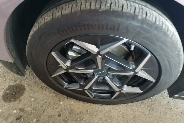 Used Lynk & Co Z20 2025 530 km Range Rear-Wheel Drive Max Exterior 7