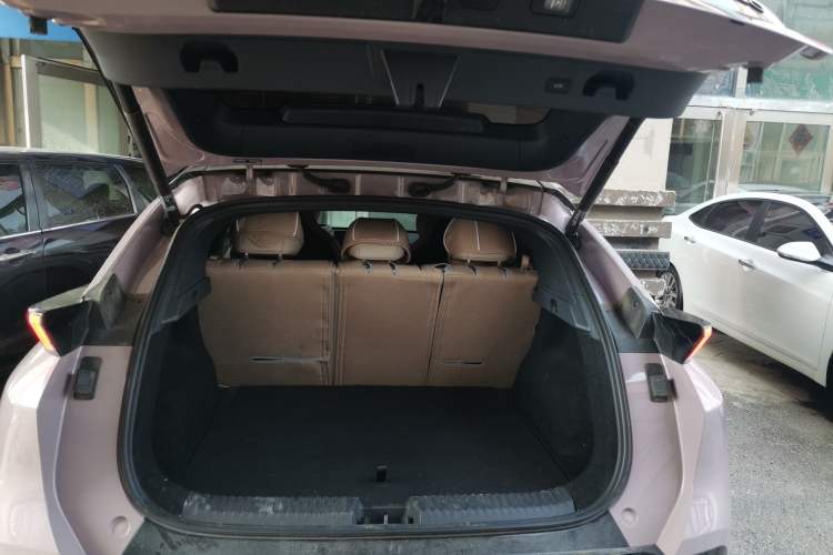 Used Lynk & Co Z20 2025 530 km Range Rear-Wheel Drive Max Trunk