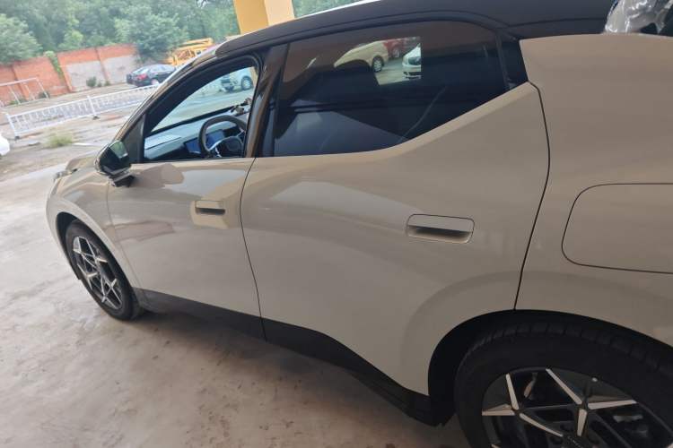 Used Lynk & Co Z20 2025 530 km Range Rear-Wheel Drive Pro Exterior 3