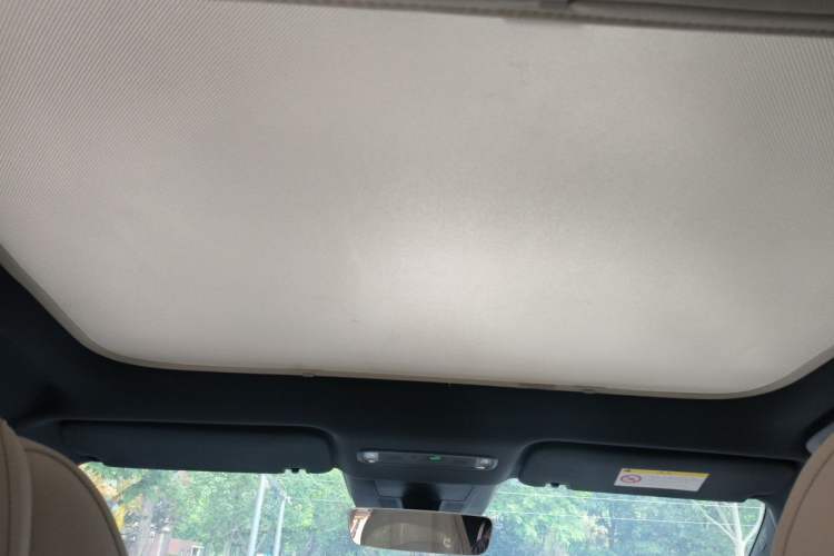 Used Lynk & Co Z20 2025 530 km Range Rear-Wheel Drive Max Headliner
