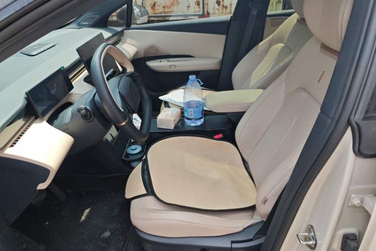 Used Lynk & Co Z20 2025 530 km Range Rear-Wheel Drive Pro Left Front Seat