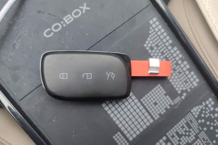 Used Lynk & Co Z20 2025 530 km Range Rear-Wheel Drive Pro Vehicle Key