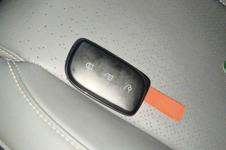 Used Lynk & Co Z20 2025 530 km Range Rear-Wheel Drive Max Vehicle Key