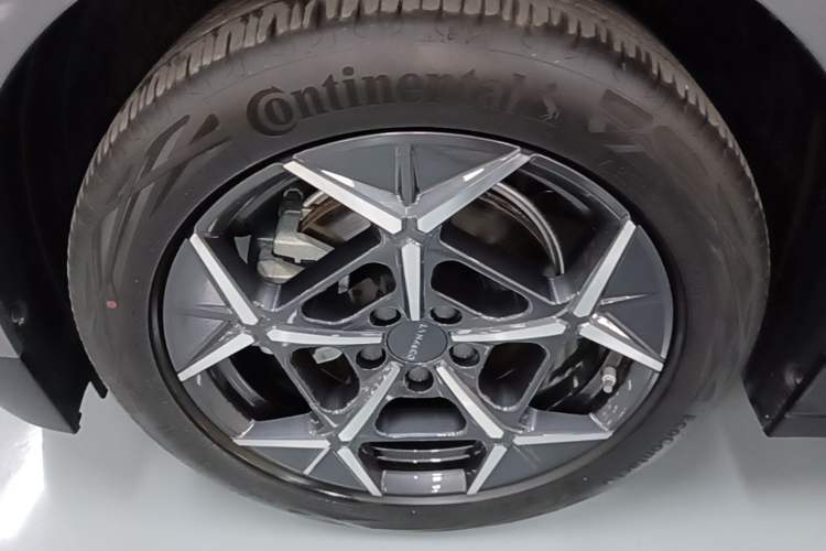 Used Lynk & Co Z20 2025 530 km Range Rear-Wheel Drive Max Exterior 4