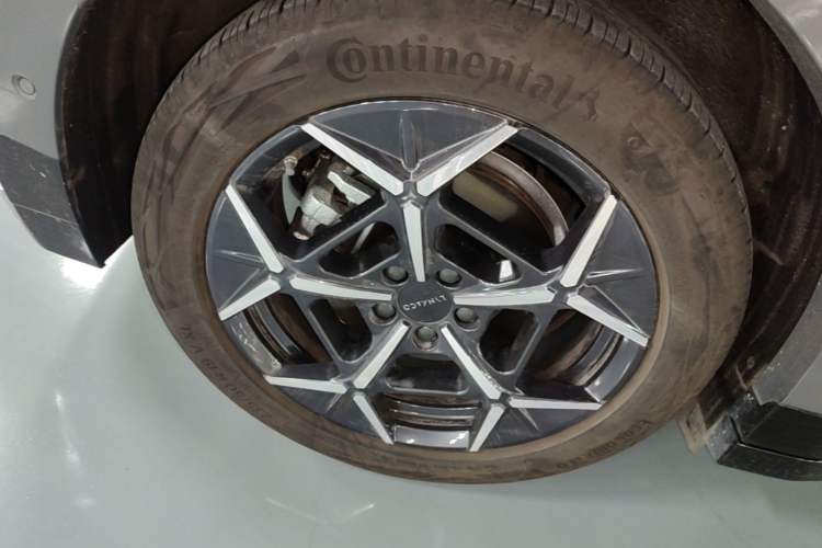 Used Lynk & Co Z20 2025 530 km Range Rear-Wheel Drive Max Exterior 5