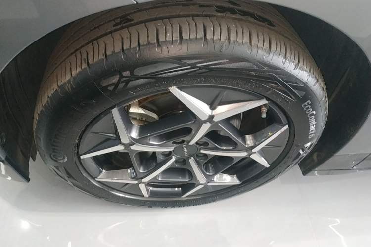 Used Lynk & Co Z20 2025 530 km Range Rear-Wheel Drive Max Exterior 7