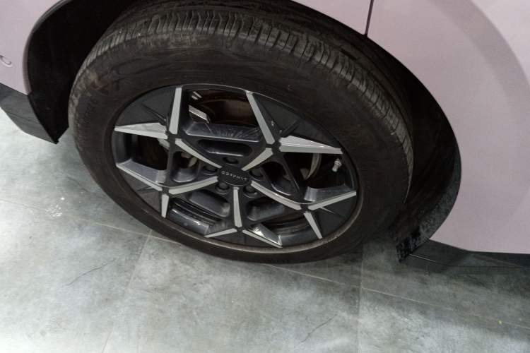 Used Lynk & Co Z20 2025 530 km Range Rear-Wheel Drive Max Exterior 8