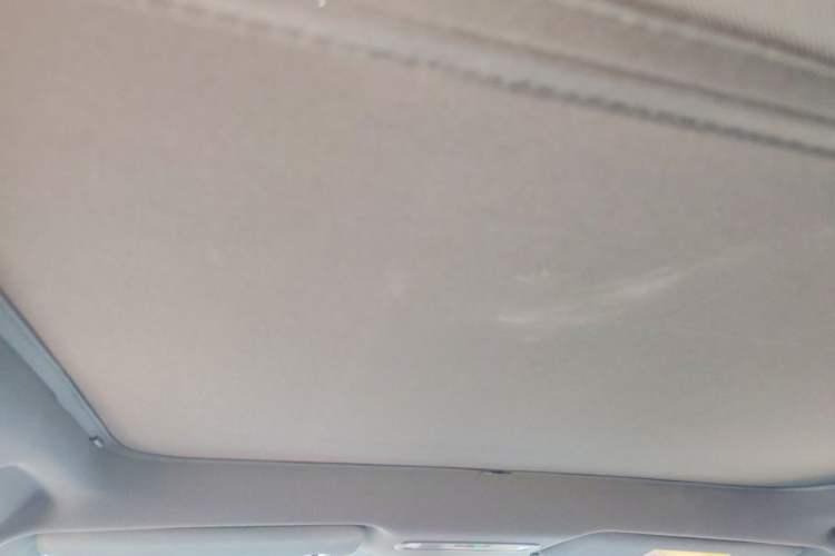 Used Lynk & Co Z20 2025 530 km Range Rear-Wheel Drive Max Headliner