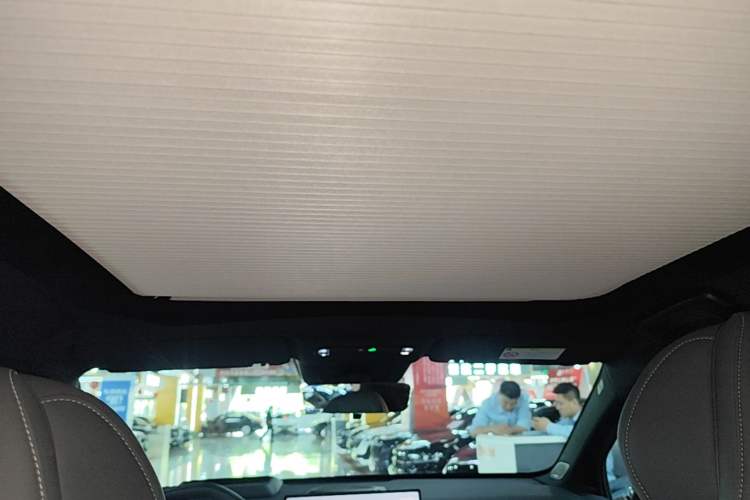 Used Lynk & Co Z20 2025 530 km Range Rear-Wheel Drive Max Headliner