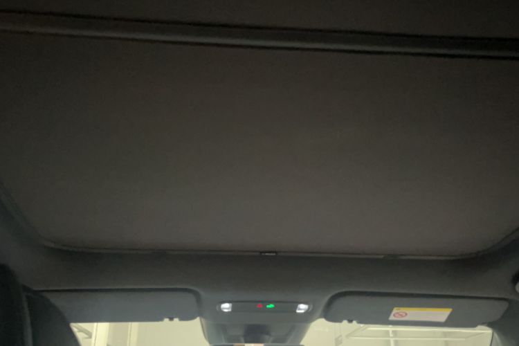Used Lynk & Co Z20 2025 530 km Range Rear-Wheel Drive Max Headliner
