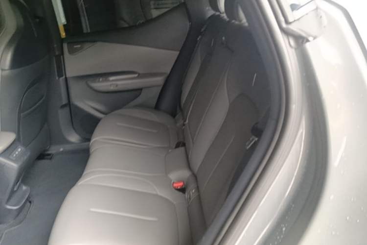 Used Lynk & Co Z20 2025 530 km Range Rear-Wheel Drive Max Left Rear Seat