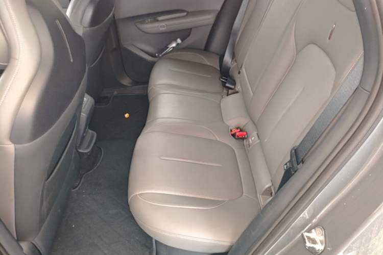 Used Lynk & Co Z20 2025 530 km Range Rear-Wheel Drive Max Left Rear Seat