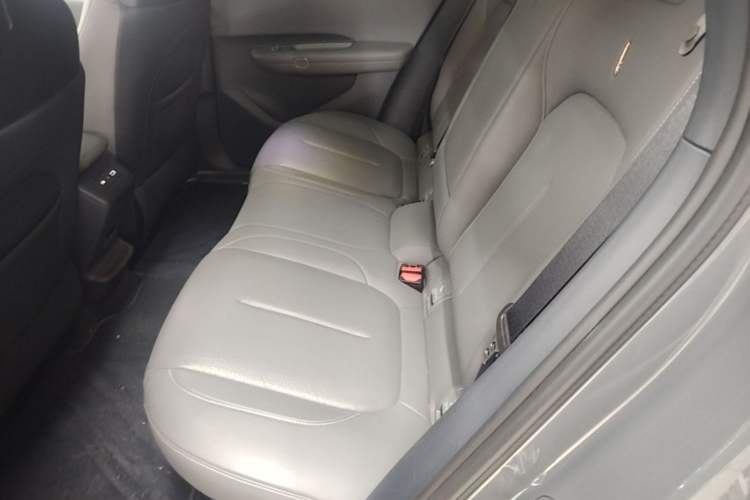 Used Lynk & Co Z20 2025 530 km Range Rear-Wheel Drive Pro Left Rear Seat