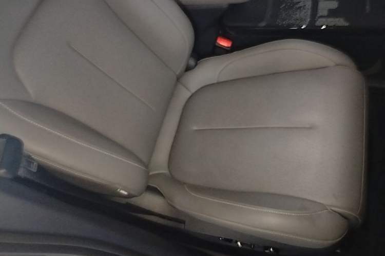 Used Lynk & Co Z20 2025 530 km Range Rear-Wheel Drive Max Right Front Seat