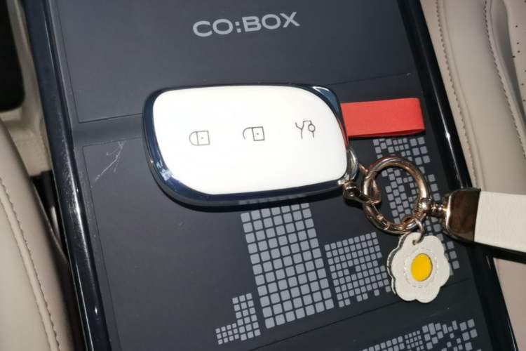 Used Lynk & Co Z20 2025 530 km Range Rear-Wheel Drive Pro Vehicle Key